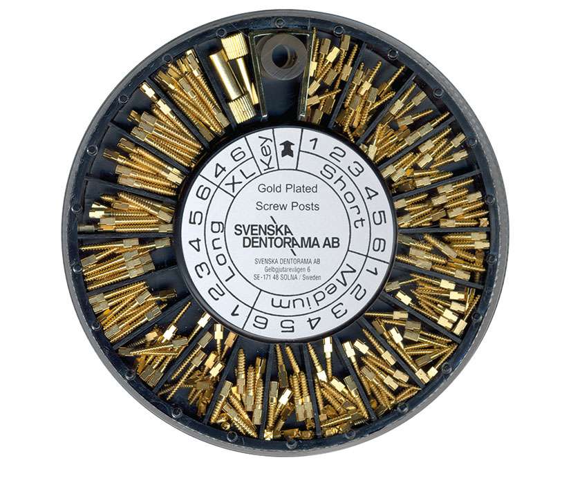 SCREW POST DOR. MEDIO MIS.1 12PZ