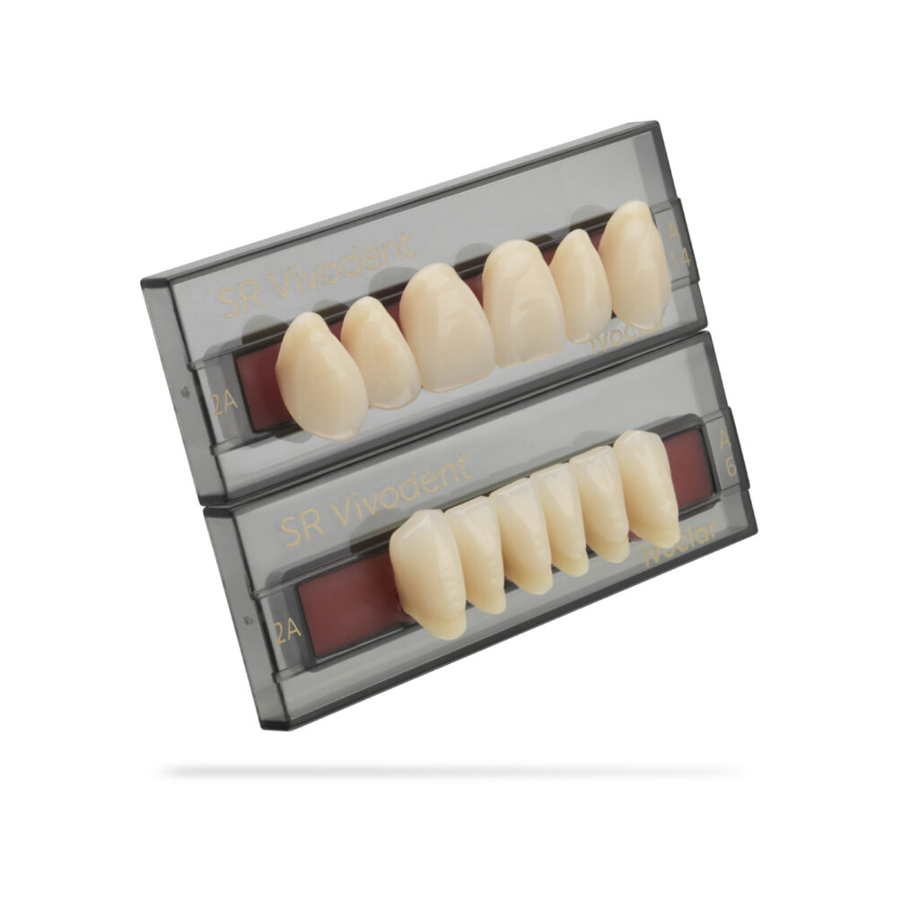 SR Vivodent Set of 6