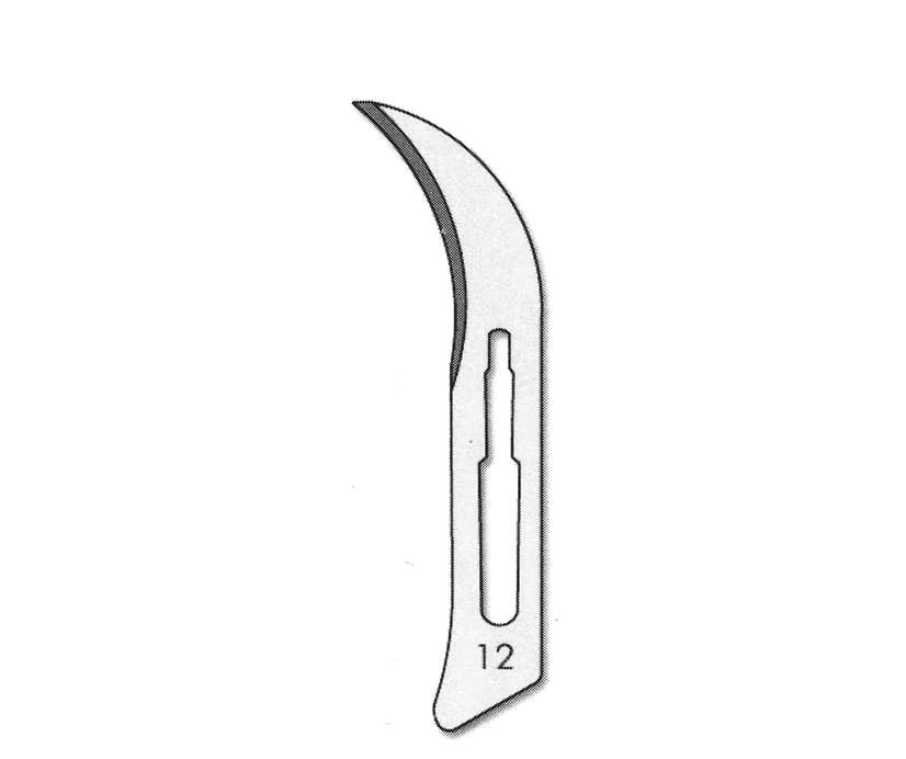 LAME PER BISTURI NR 12 100PZ